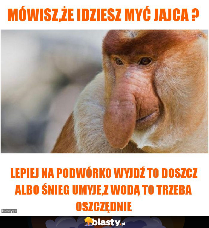 Mówisz,że idziesz myć jajca ?