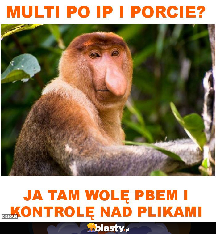 multi po IP i porcie?