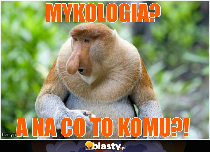 Mykologia?