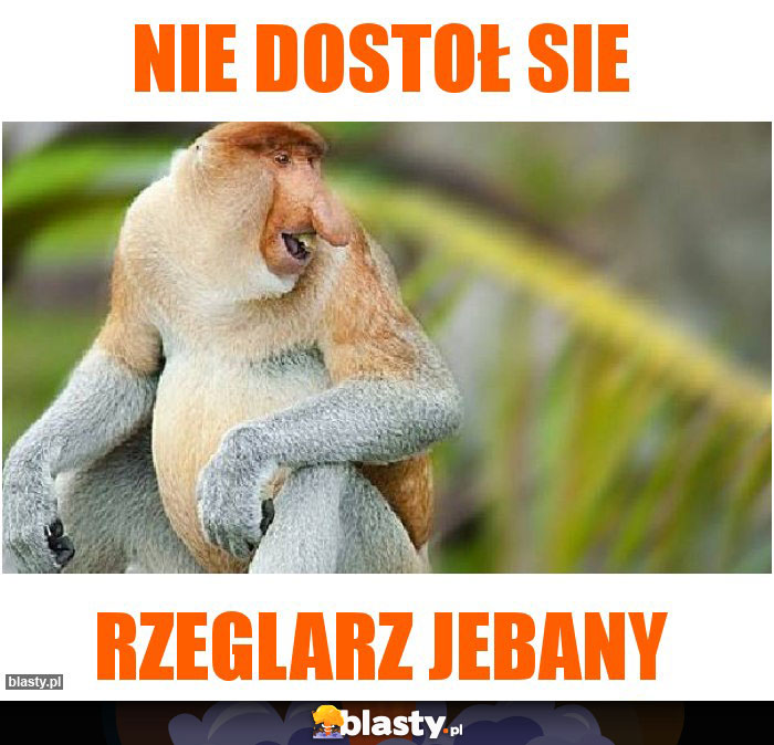 Nie dostoł sie