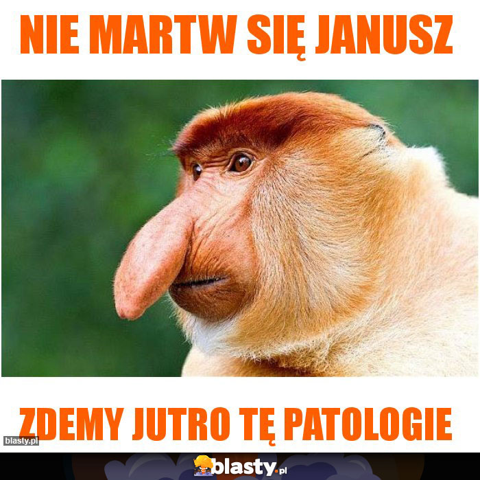 Nie martw się Janusz