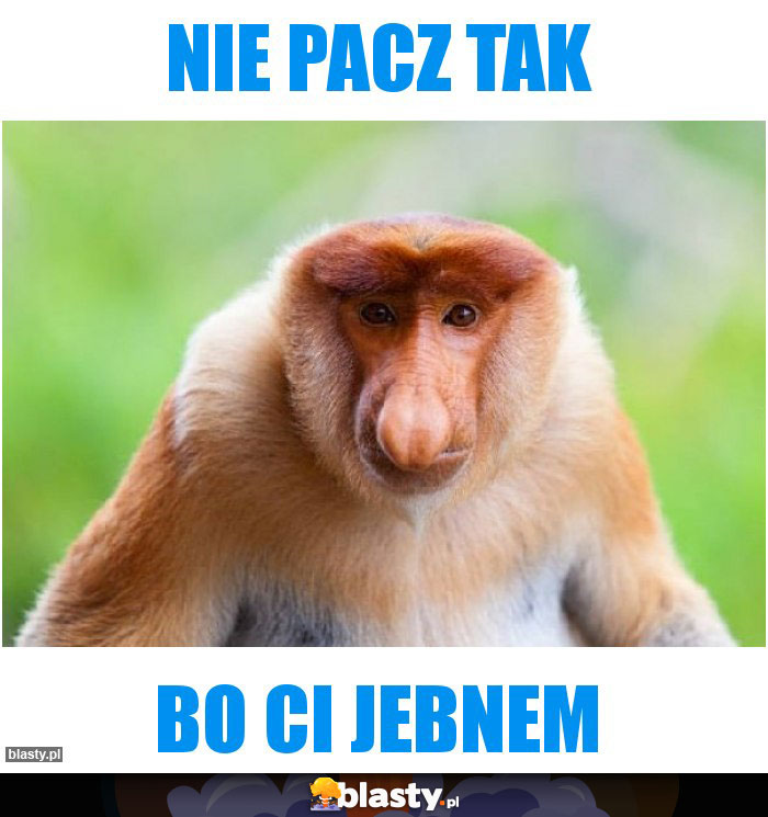 Nie pacz tak