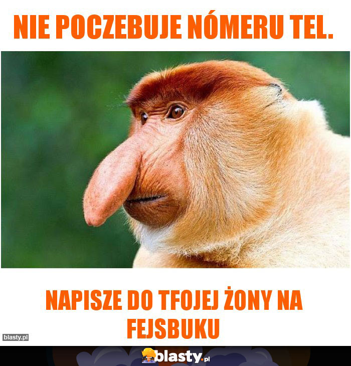 Nie poczebuje nómeru tel.