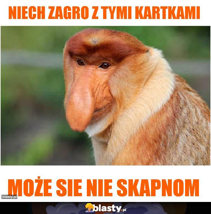 niech zagro z tymi kartkami