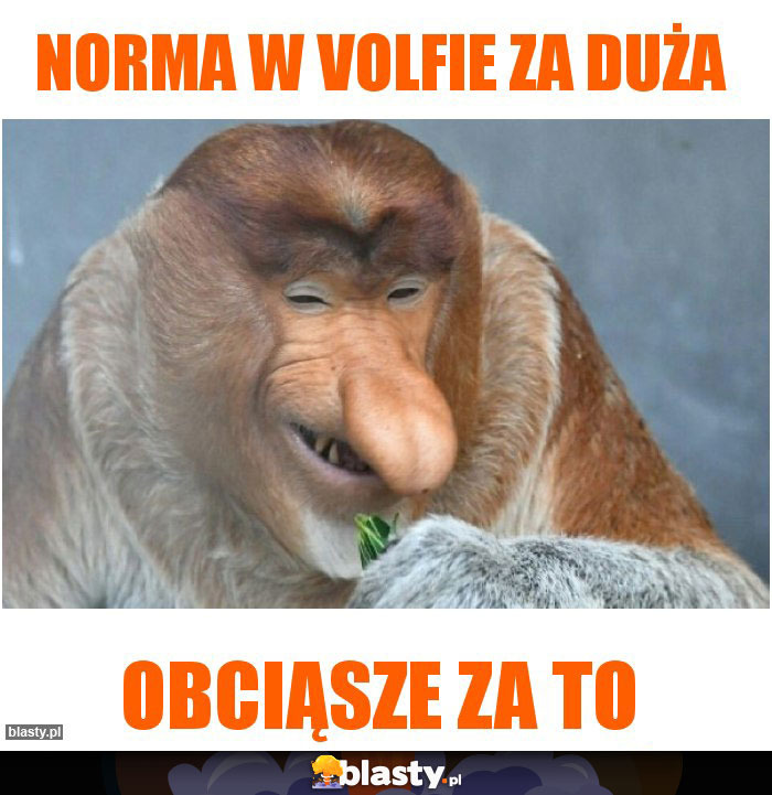 norma w volfie za duża