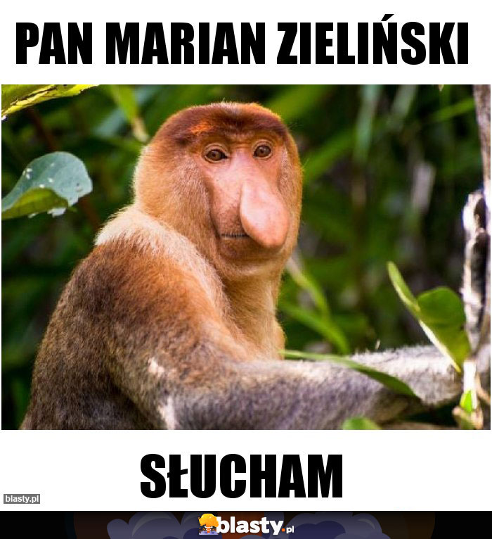 Pan marian zieliński