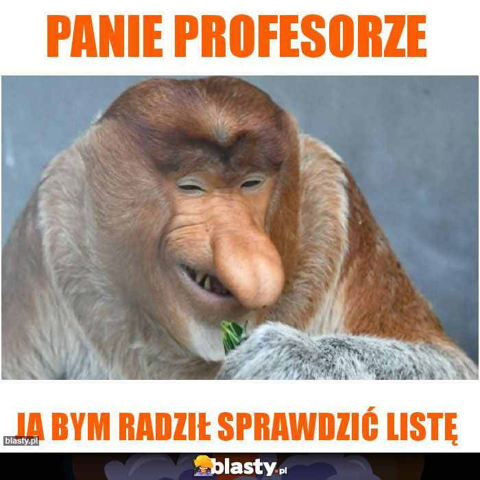 Panie profesorze