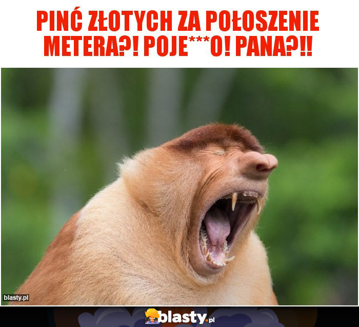 Pinć złotych za połoszenie metera?! POJE***O! Pana?!!