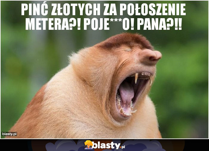 Pinć złotych za połoszenie metera?! POJE***O! Pana?!!