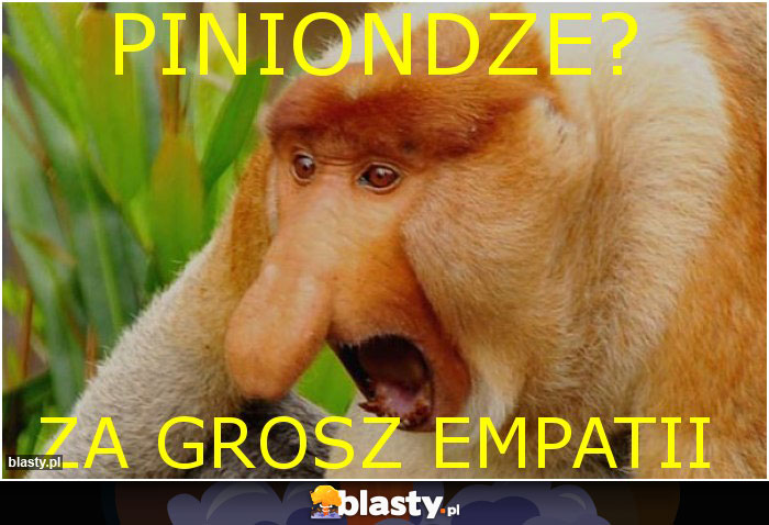 Piniondze?