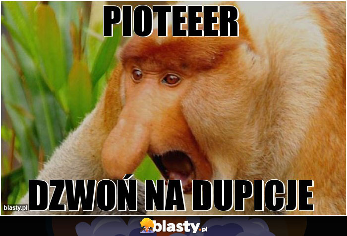 PIOTEEER