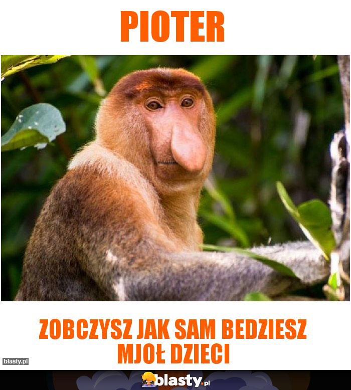 Pioter