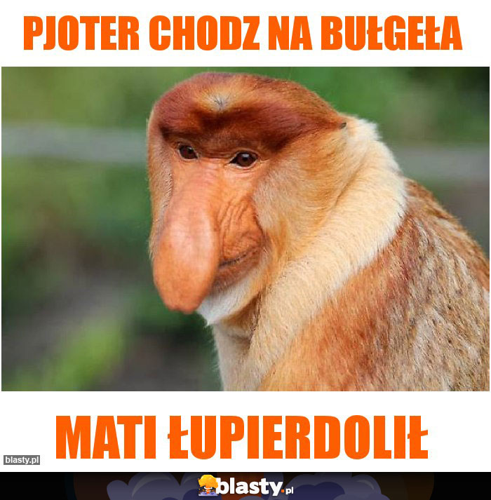 PJOTER CHODZ NA BUŁGEŁA