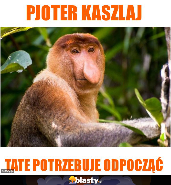 PJOTER KASZLAJ