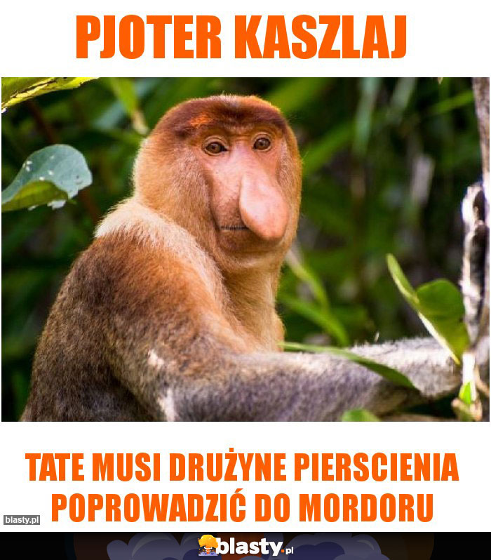 Pjoter kaszlaj