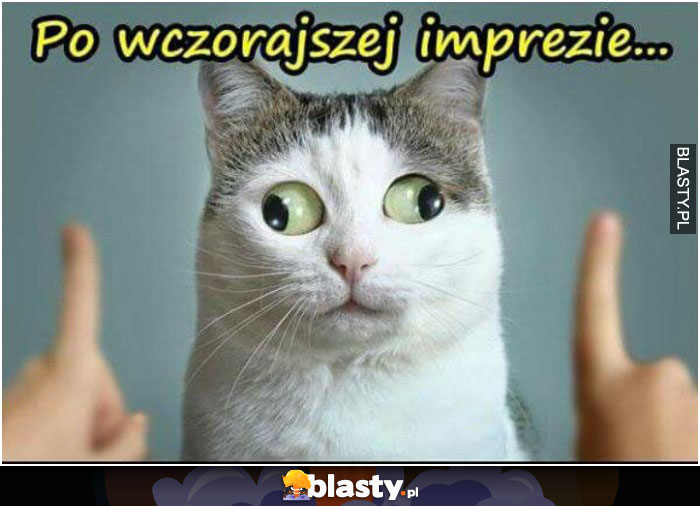 Po wczorajszej imprezie