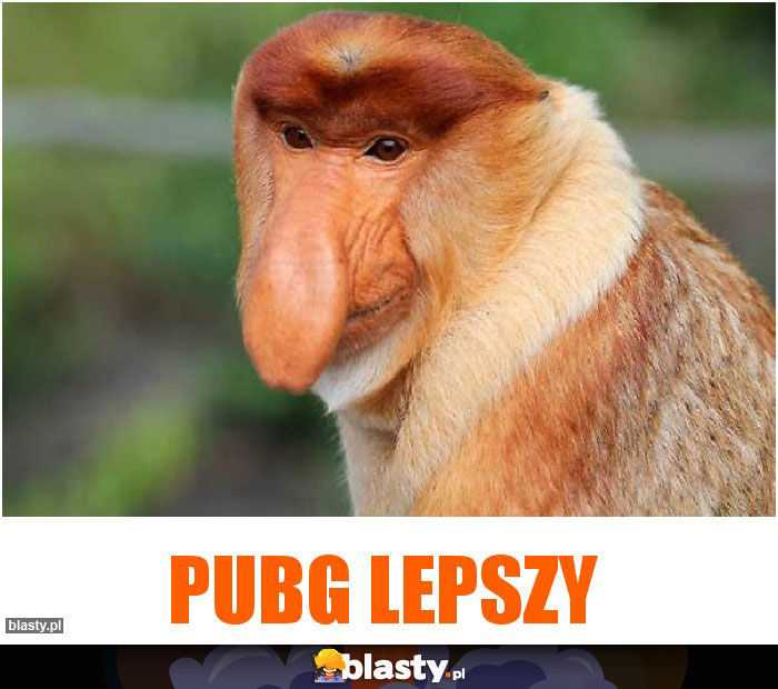 pubg lepszy