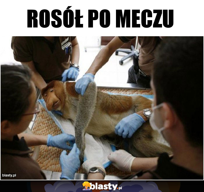 Rosół po meczu