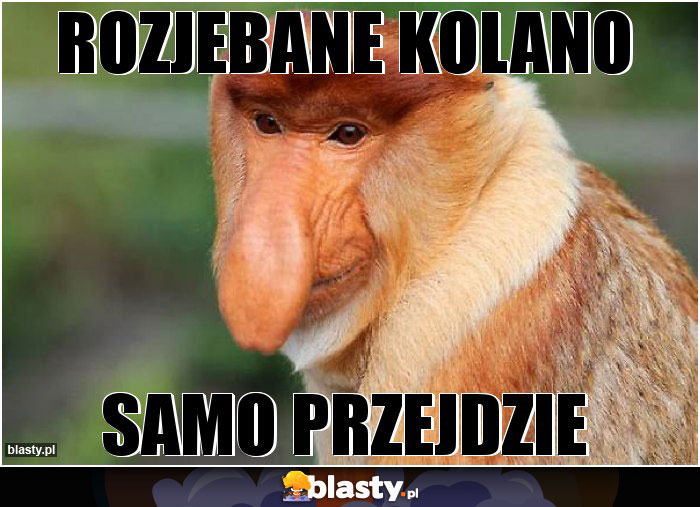 rozjebane kolano