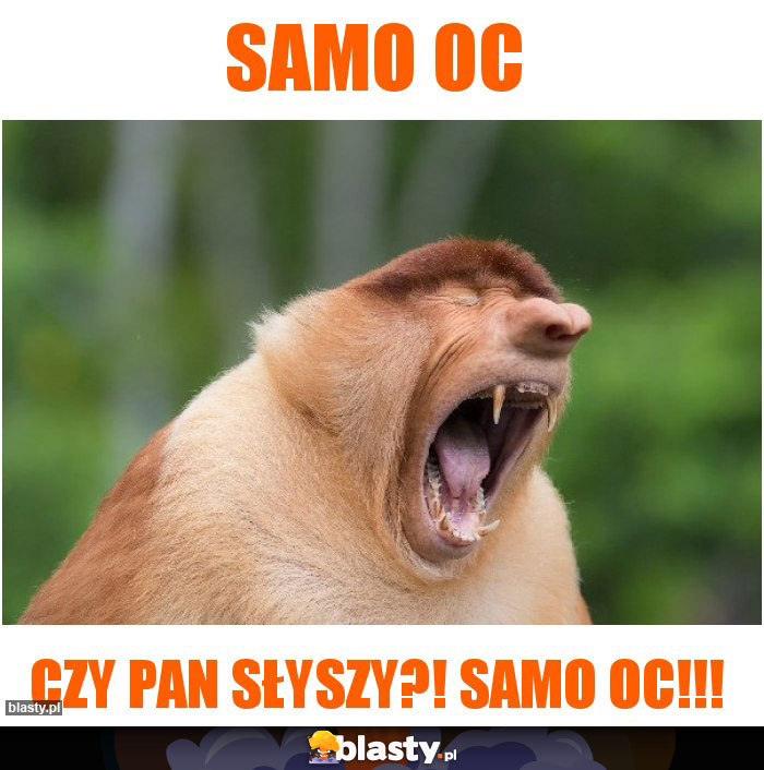 samo oc