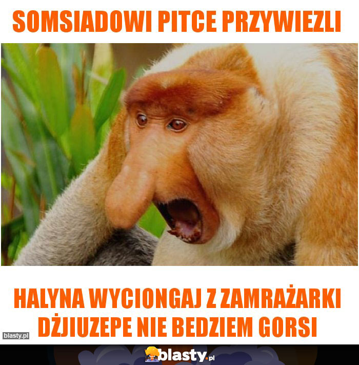 somsiadowi pitce przywiezli