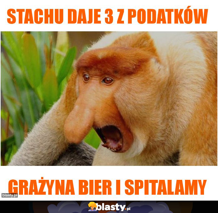 Stachu daje 3 z podatków