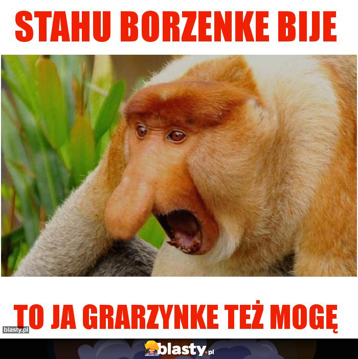 Stahu borzenke bije