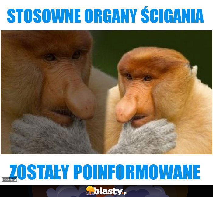 Stosowne organy ścigania