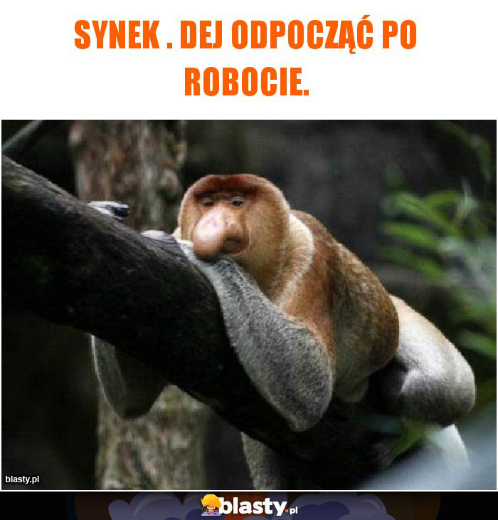 Synek . Dej odpocząć po robocie.