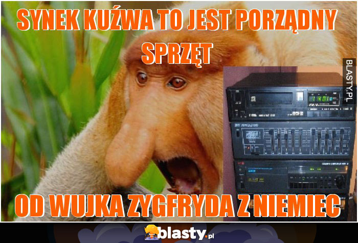 synek kuźwa to jest porządny sprzęt