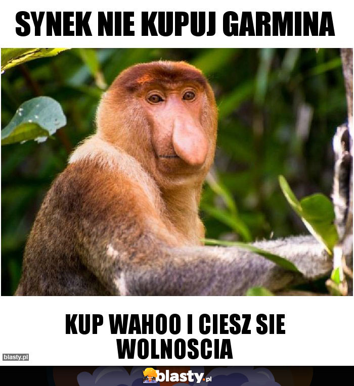 synek nie kupuj garmina