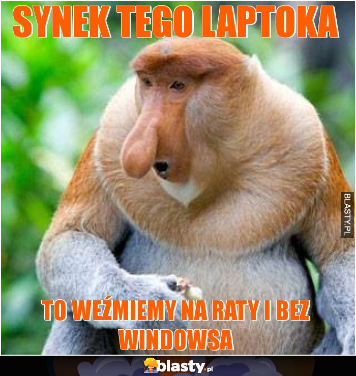 synek tego laptoka