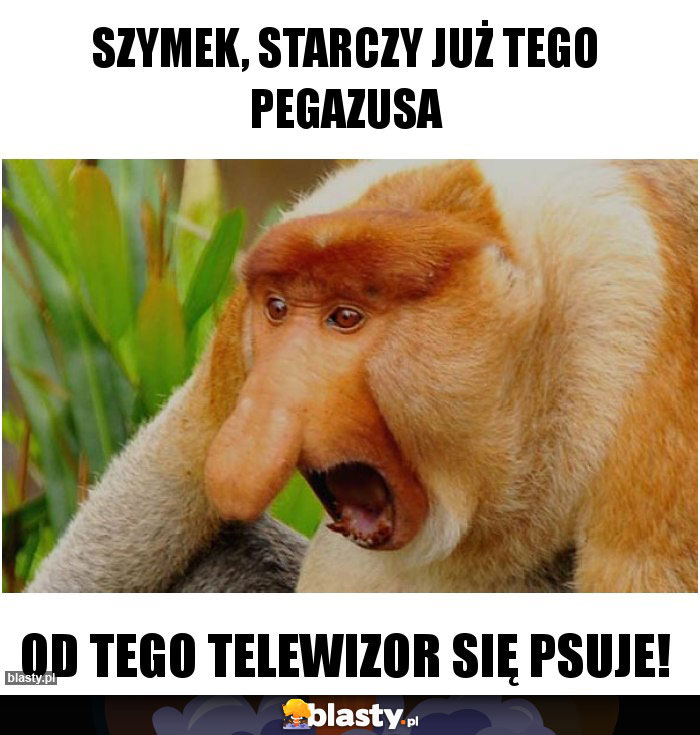 Szymek, starczy już tego pegazusa