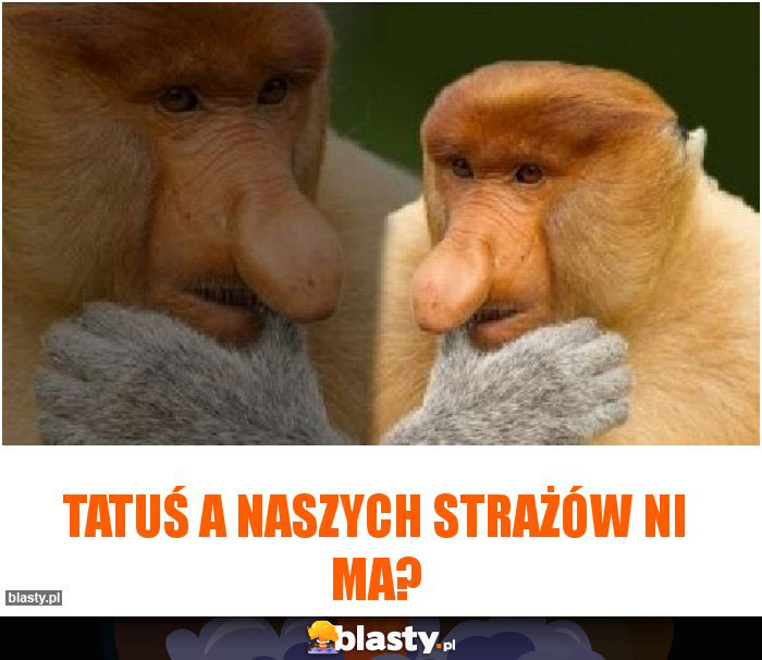 tatuś a naszych strażów ni ma?