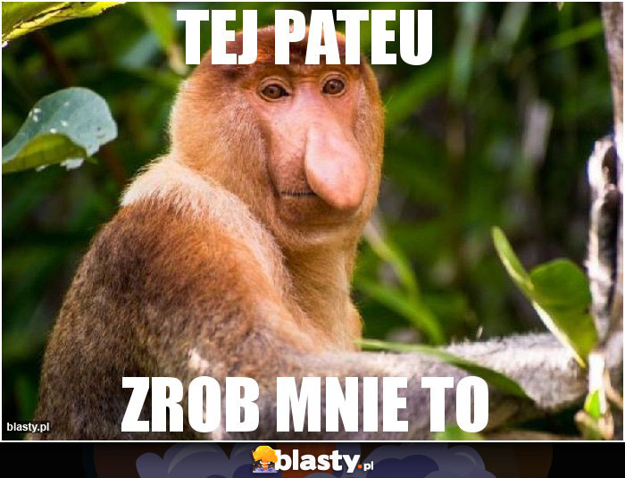 tej pateu