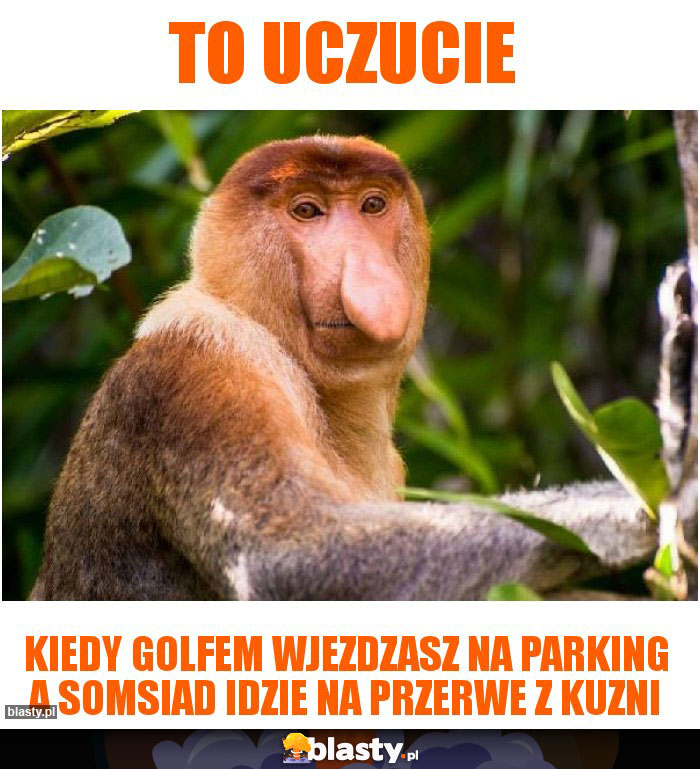 To uczucie