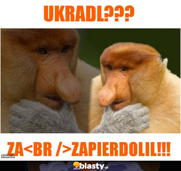 Ukradl???