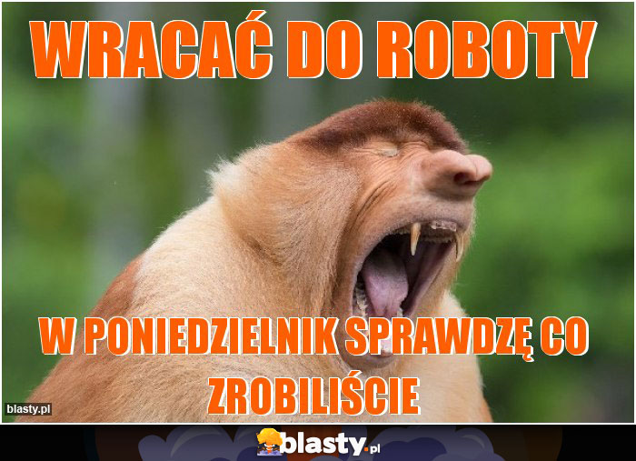 wracać do roboty