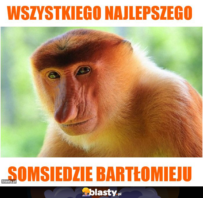 Wszystkiego Najlepszego