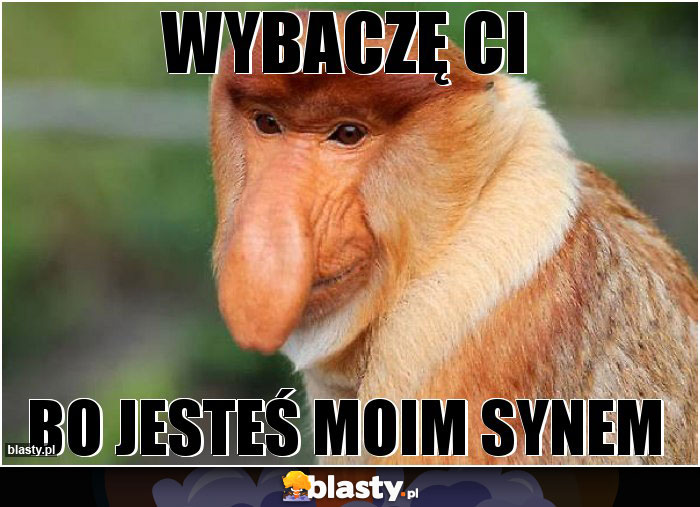 WYBACZĘ CI