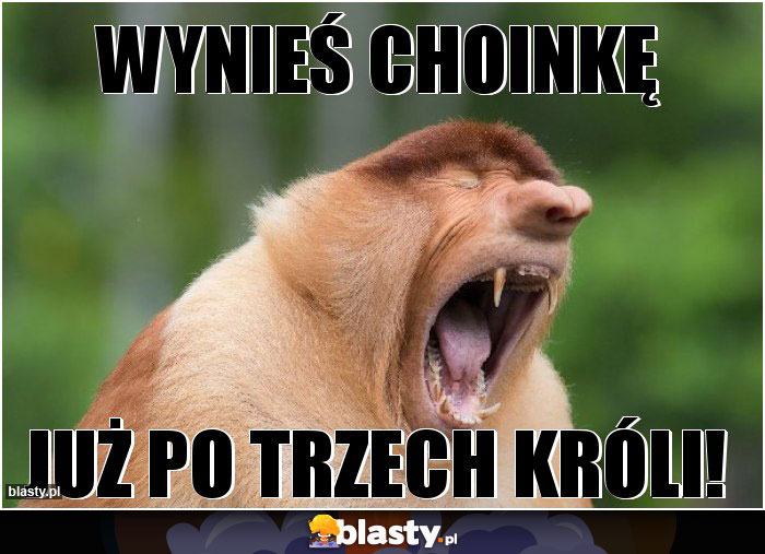 WYNIEŚ CHOINKĘ