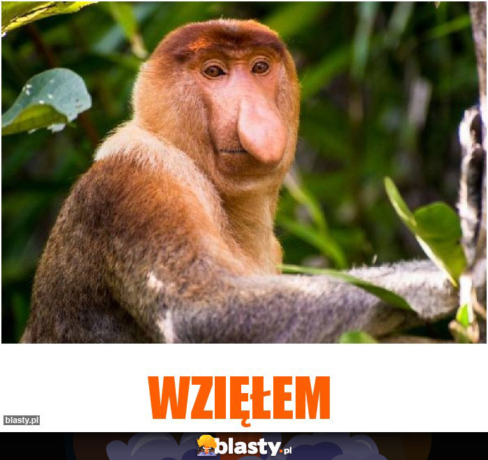 Wzięłem