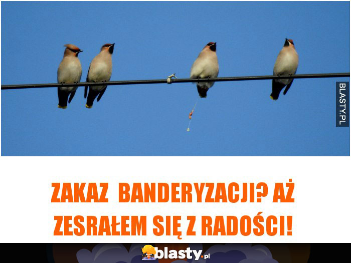 Zakaz  BANDERYZACJI? AŻ ZESRAŁEM SIĘ Z RADOŚCI!