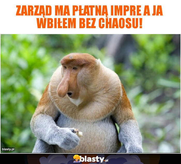 Zarząd ma płatną impre a ja wbiłem bez chaosu!