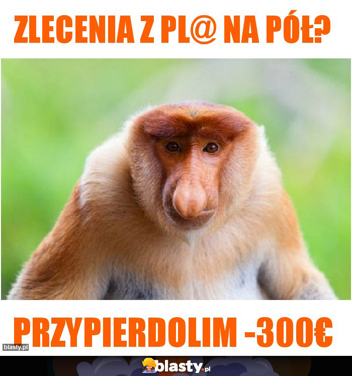 ZLECENIA Z PL@ NA PÓŁ?