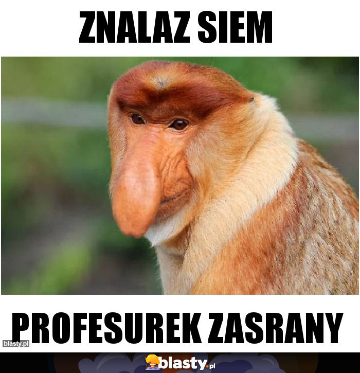 Znalaz siem