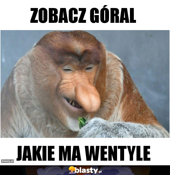 Zobacz góral