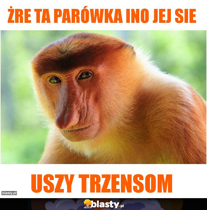 Żre ta parówka ino jej sie