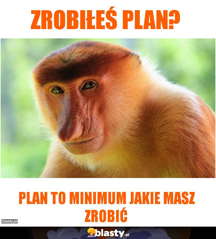 ZROBIŁEŚ PLAN?