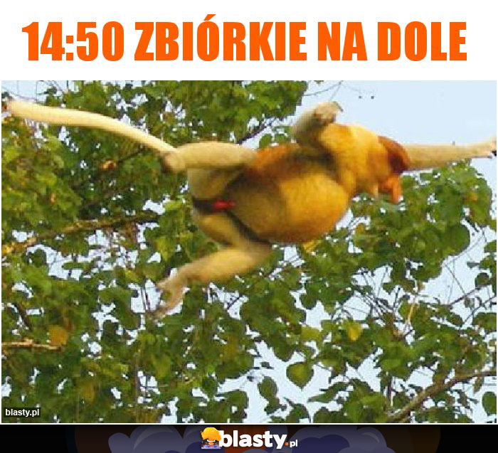 14:50 zbiórkie na dole